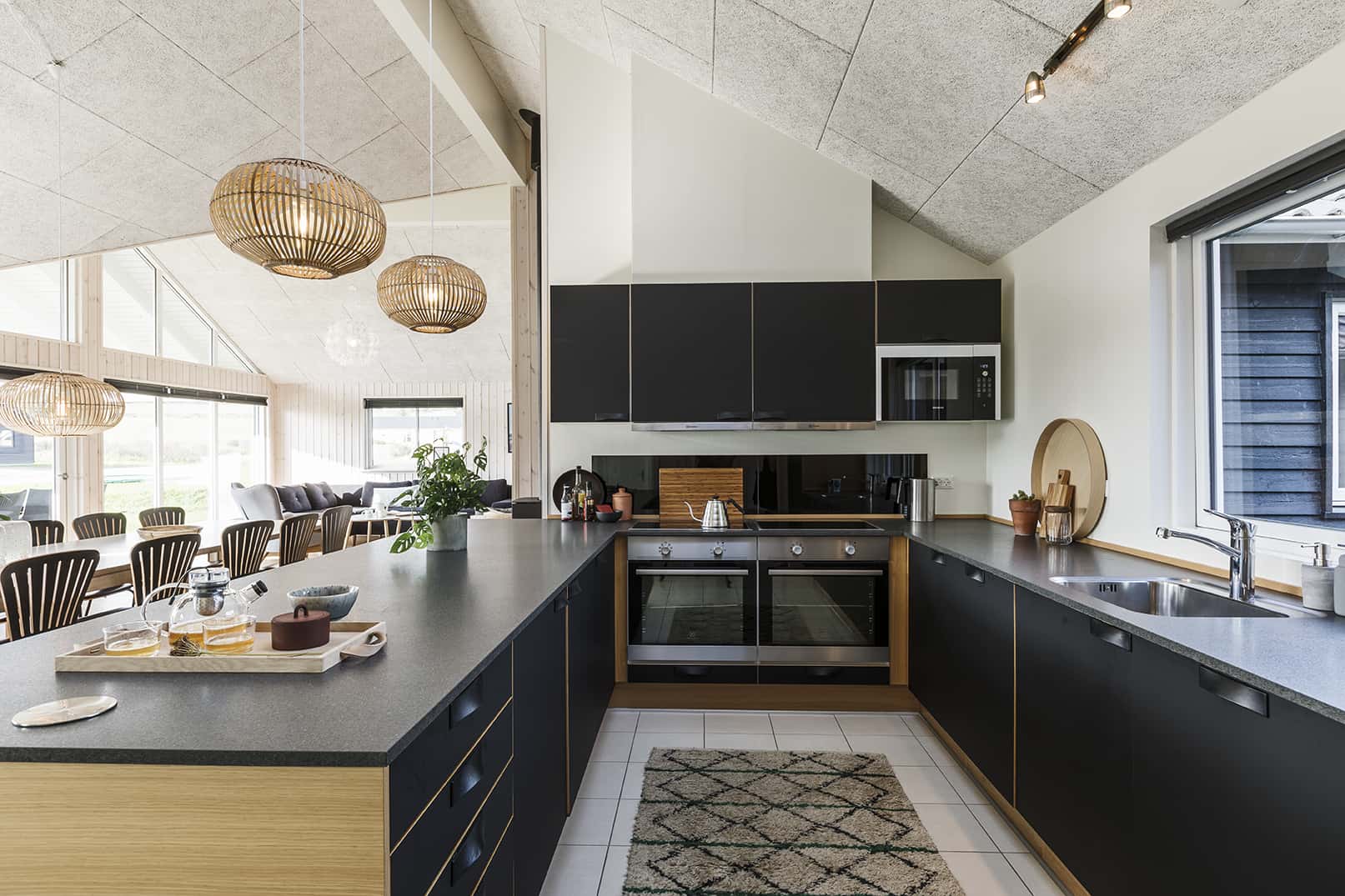 Skanlux Aqua sommerhus med pool og aktivitetsrum