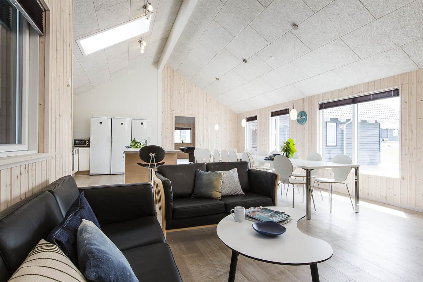 Skanlux Aqua sommerhus med pool og aktivitetsrum