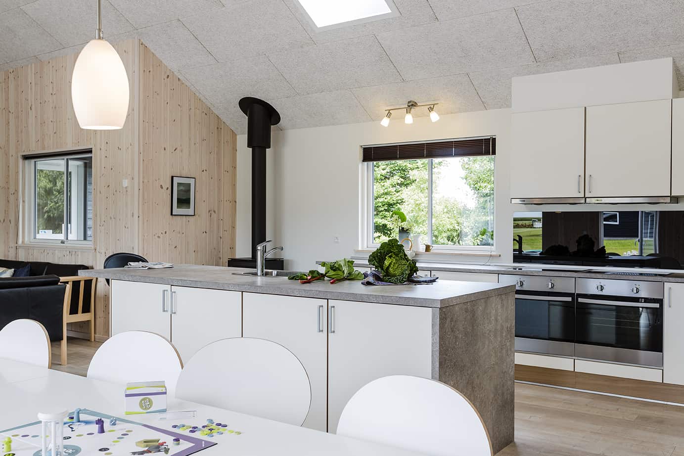 Skanlux Aqua sommerhus med pool og aktivitetsrum