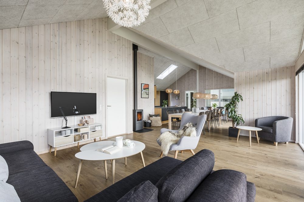 Skanlux Aqua sommerhus med pool og aktivitetsrum