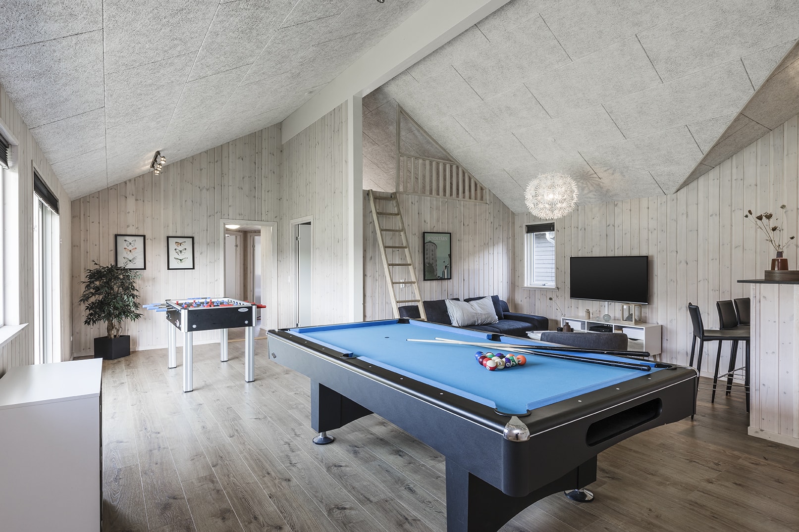 Skanlux Aqua sommerhus med pool og aktivitetsrum