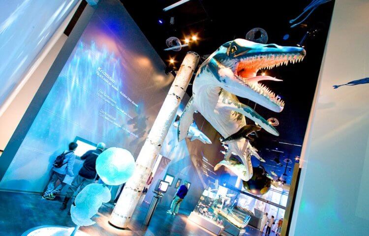 Udstilling af dyr i geocenter