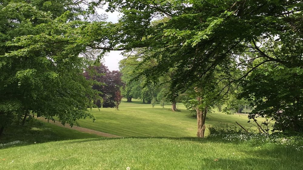 Grønne arealer i klintholm park
