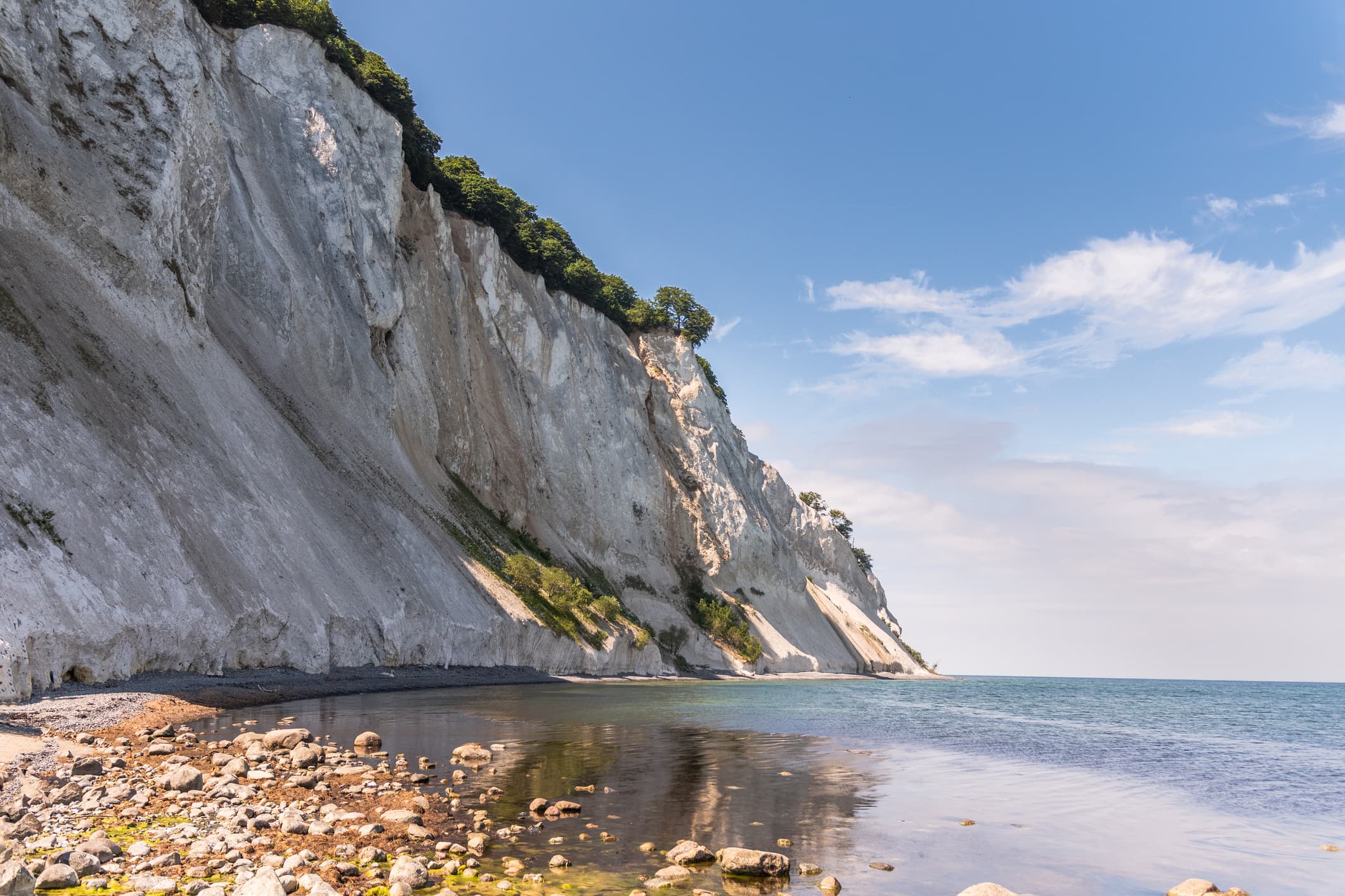 Moen Klint at summer - Denmark