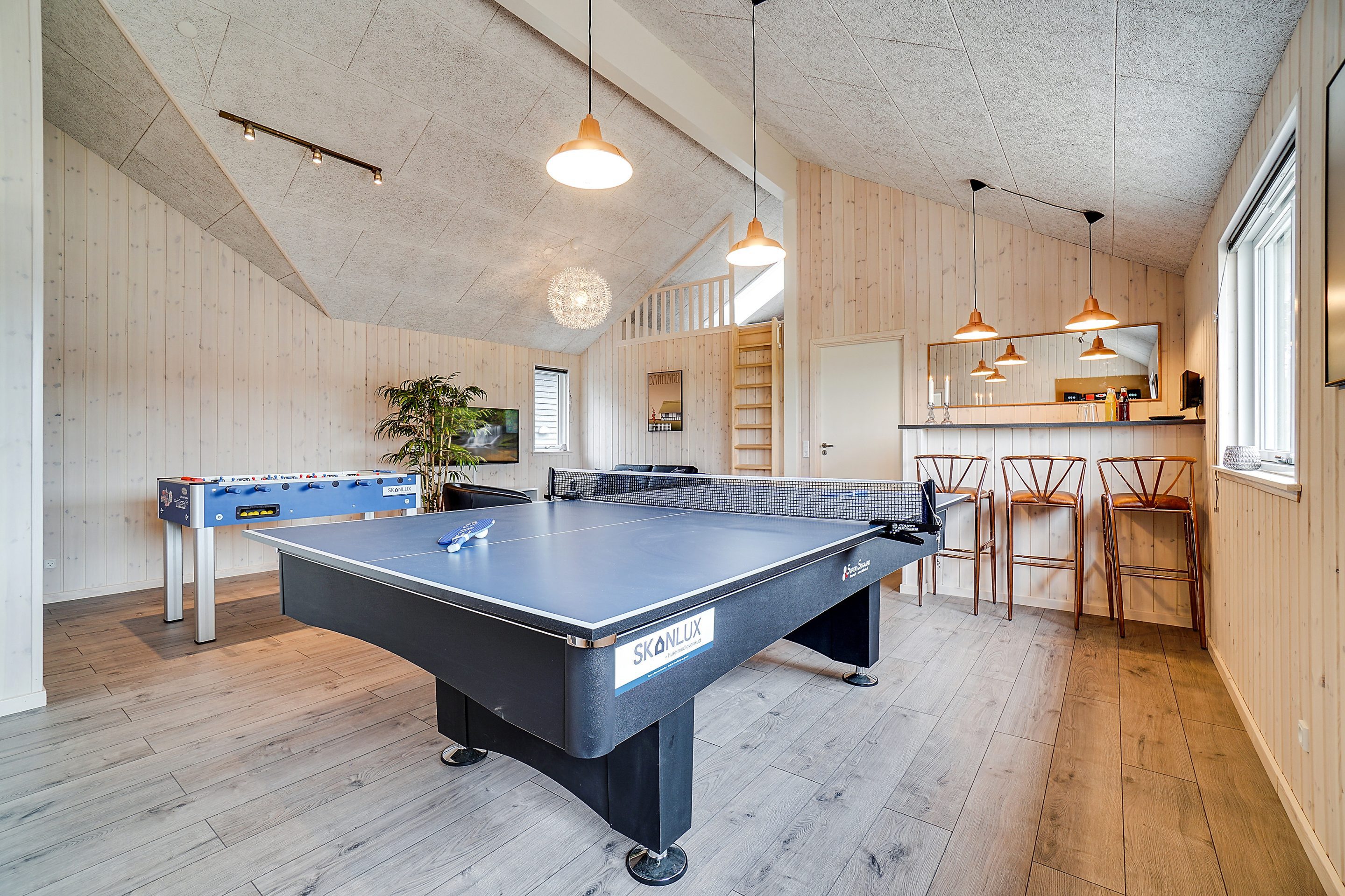 Skanlux Aqua pool sommerhus aktivitetsrum