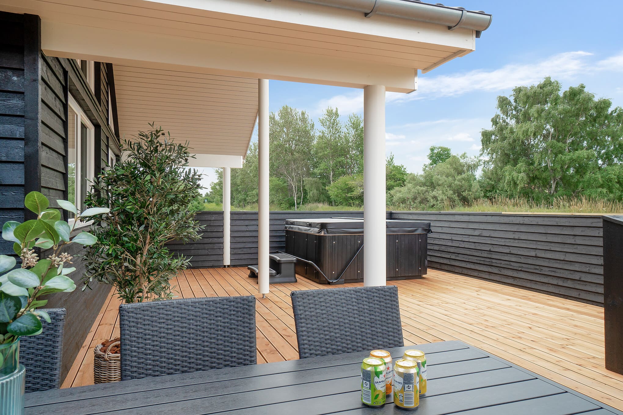 Skanlux Aqua poolsommerhus