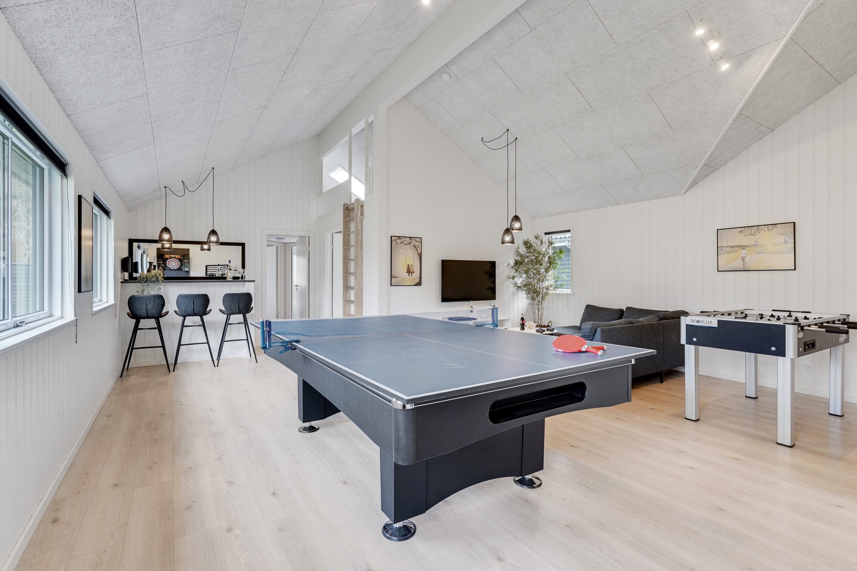 Skanlux Aqua sommerhus med pool og aktivitetsrum