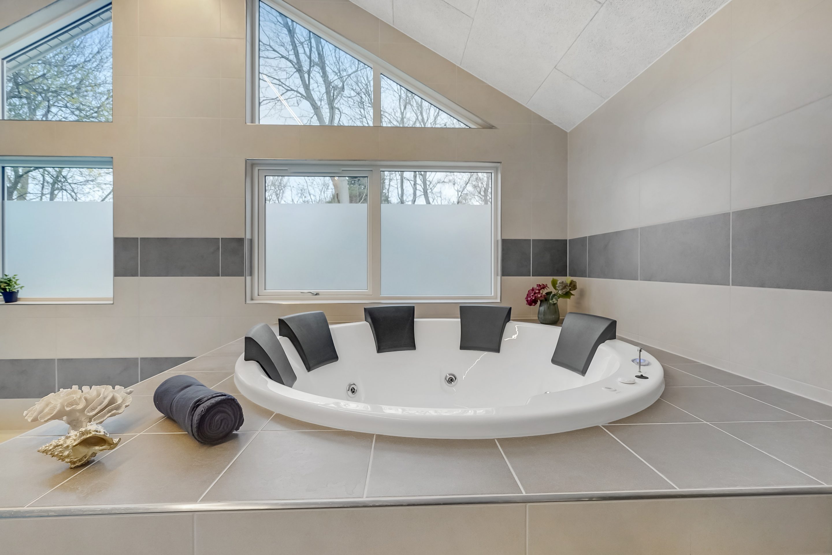 Skanlux Aqua poolsommerhus