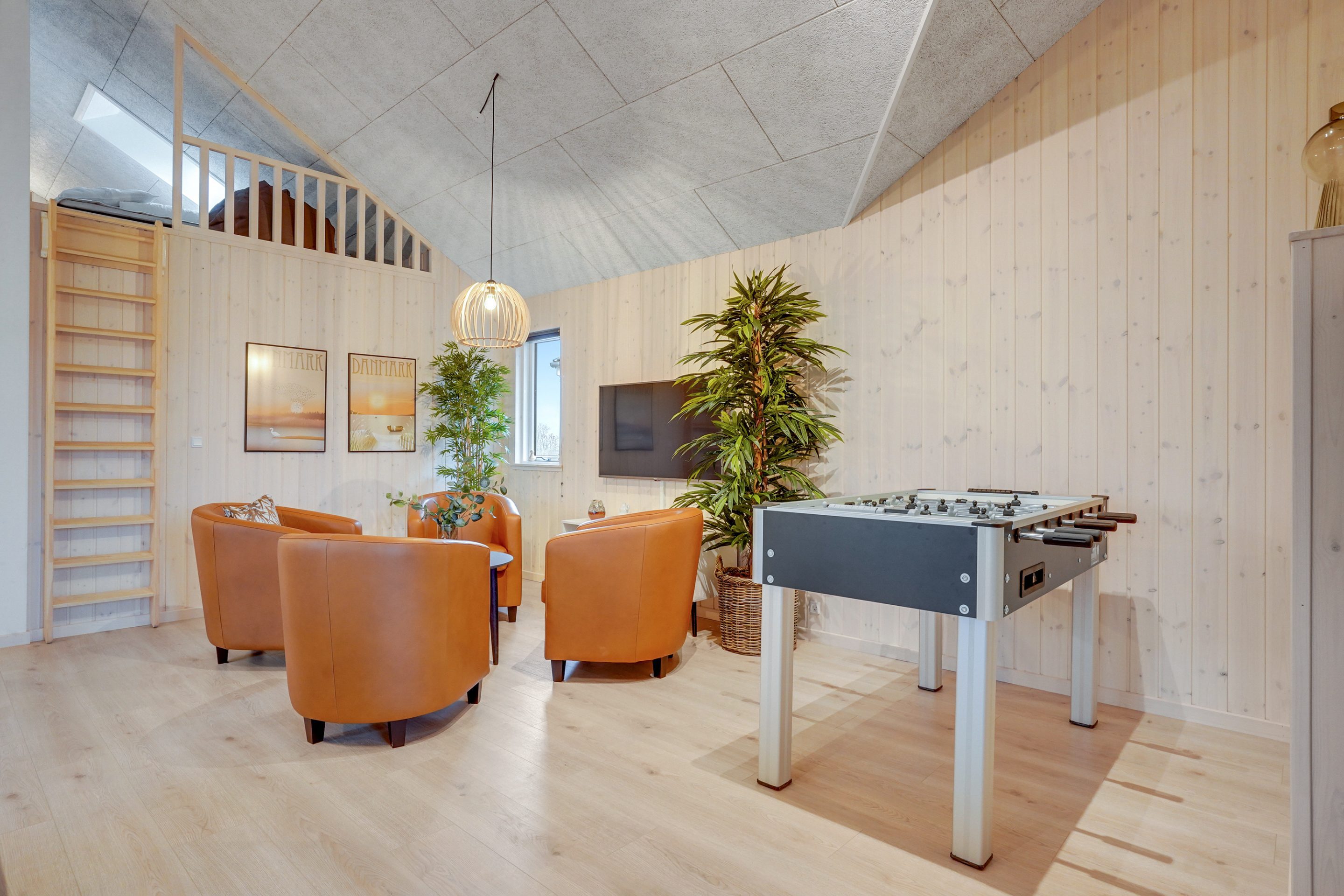 Skanlux Aqua sommerhus med pool og aktivitetsrum