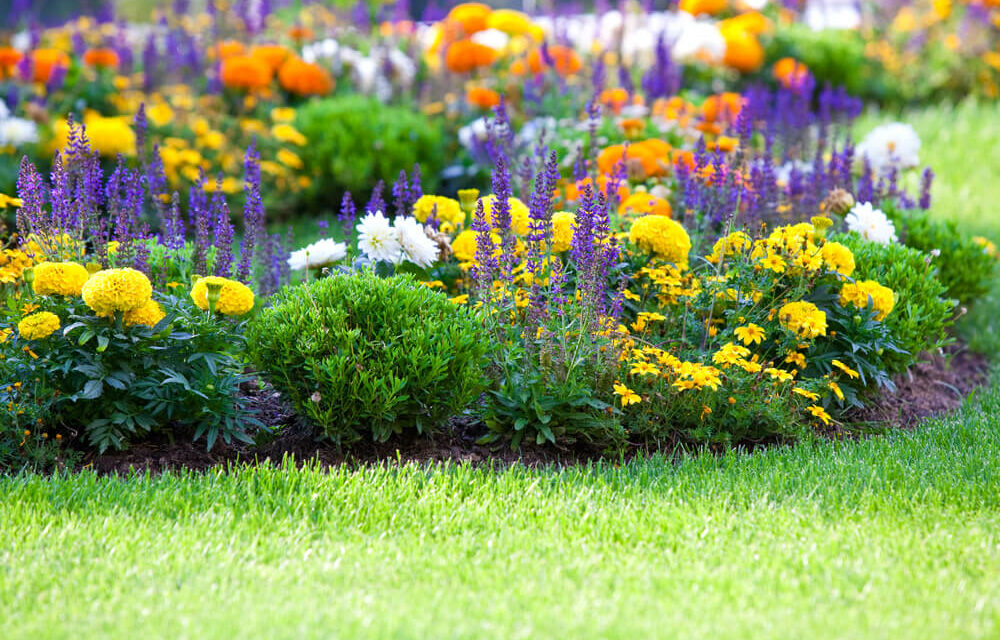 Farvestrålende regnbed og græsplæne
