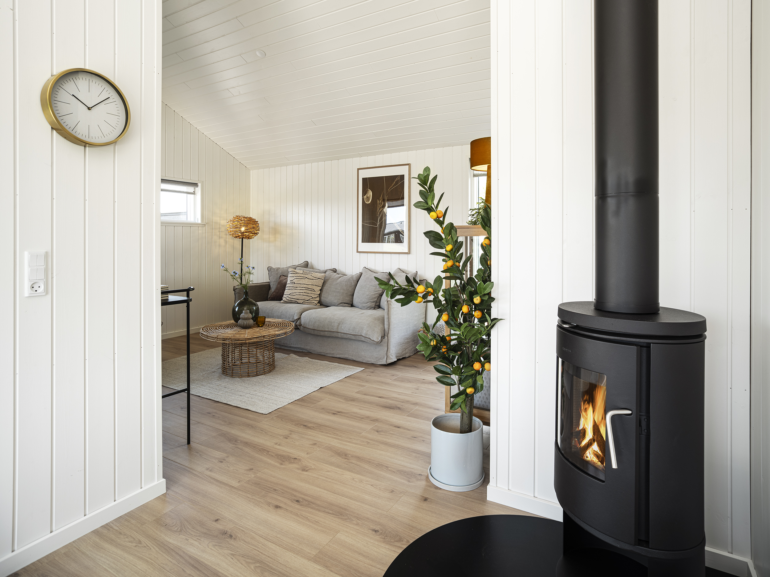 Skanlux sommerhus - Trend Basic